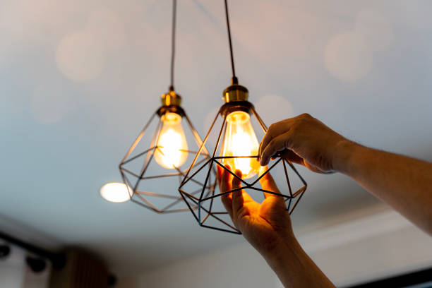 Best Home Electrical Repair  in Madison, MN