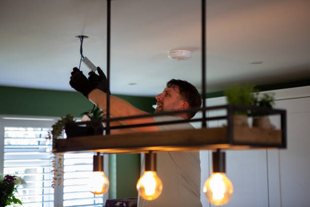 Best Electrician for Home Renovation  in Madison, MN