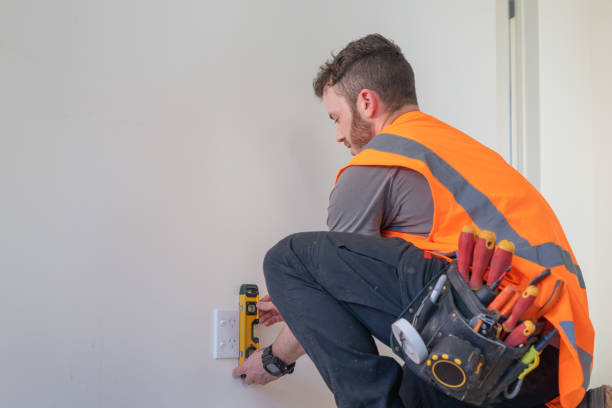Best Electric Panel Repair  in Madison, MN