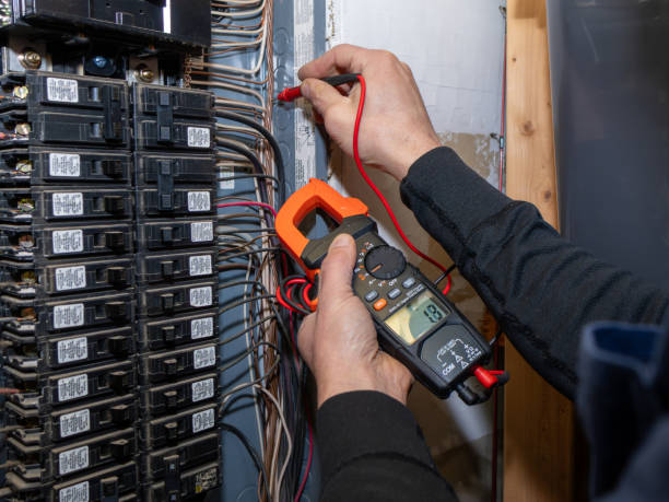 Best 24-Hour Electrician  in Madison, MN