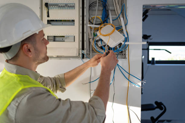 Best Electrical System Inspection  in Madison, MN