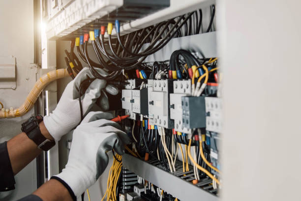 Best Affordable Electrician  in Madison, MN